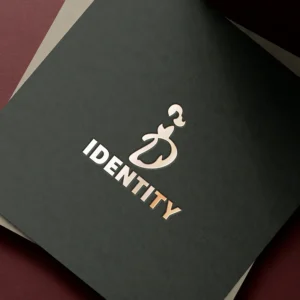 Elegant letter D logo template design 05