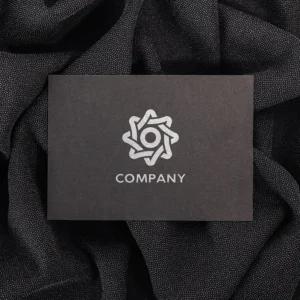 Connectivity logo design for technology company 03